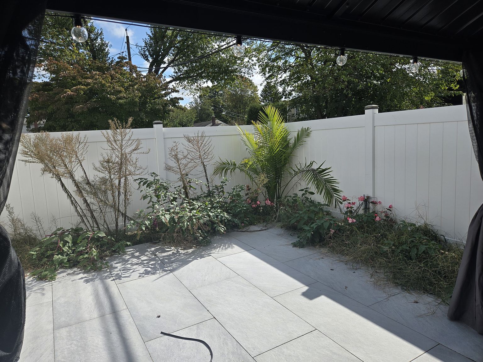 Outdoor garden area